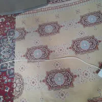 باسلام محافط  سالم 3تایی نوه هستش