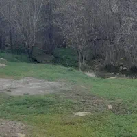 زمین-باغ