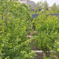 ویلاباغ دلنشین۱۰۰۰زمین۲۵۰بنا طلایی ناب در*مهراباد*|فروش خانه و ویلا|رودهن, |دیوار