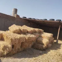 پرس وپخل|عمدهفروشی|مشهد, مهدی آباد|دیوار