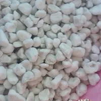 فروش عمده پوکه پرلیت معدنی صنعتی مشهد|عمده‌فروشی|مشهد, توس (بلوار توس)|دیوار