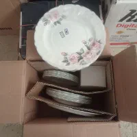 دو سرویس ارکوپال