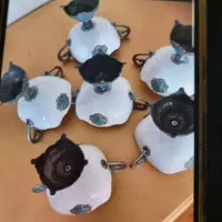 ظروف پذیرایی سرامیکی|ظروف سرو و پذیرایی|قم, شهرک قدس|دیوار