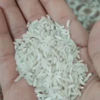 برنج پاکستانی سولماز