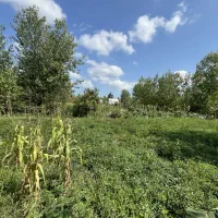 زمین۲۰۰مترمسکونی/مدارک سندتکبرگ/اشمان کماچال|فروش زمین و ملک کلنگی|آستانه اشرفیه, |دیوار