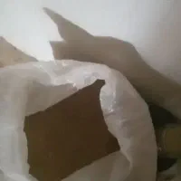 بذر یونجه