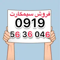 0919-56-36-046صفر پک
