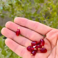 گردنبند دونه انار یاقوتی