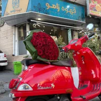 فروش عمد دان قهوه