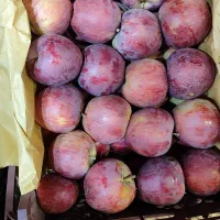 سیب درج یک|عمده‌فروشی|اهر, |دیوار