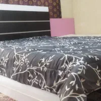 تخت وخواب|تخت و سرویس خواب|جوانرود, |دیوار