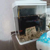 فروش اکواریوم