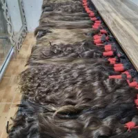 خریدارموهای طبیعی شماباقیمت مناسب