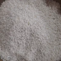 برنج سیتکا سنگر