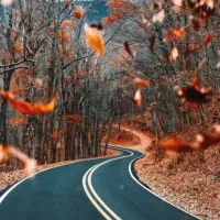 حمل مسافر دربست به نوشهر چالوس