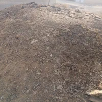 پهن گوسفندی