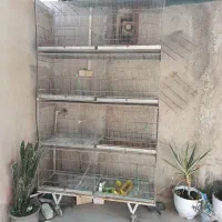 قفس ۸خان دسته دوم کف فلزی