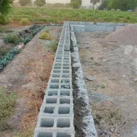 کاربنایی