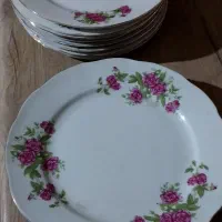 بشقابهای گل سرخی