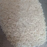 سرلاشه هاشمی معطر به شرط پخت ۲۳۰|خوردنی و آشامیدنی|قدس, شهرقدس|دیوار