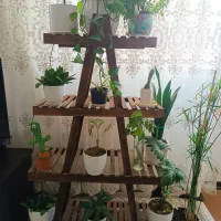 استند گل
