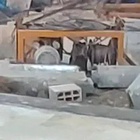 بالابر ساختمان کامل|مصالح و تجهیزات ساختمان|اسلام‌شهر, شهرک واوان|دیوار