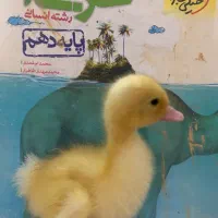 کتاب خیلی سبز عربی دهم