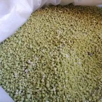 کودی شیمیایی دی آمینیوم فسفات رازی و کود چینی|عمدهفروشی|قیدار, |دیوار