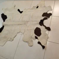 چرم طبیعی تبریز|روفرشی|کرمانشاه, |دیوار