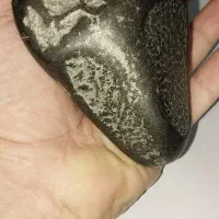 خریدار سنگ باارزش