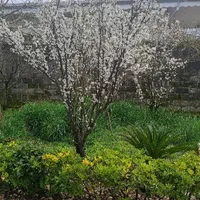همکار خانم جهت کار در رستوران