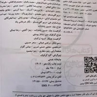 فیزیک جامع خیلی سبز|کتاب و مجله آموزشی|قم, پردیسان|دیوار