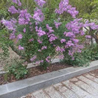 تهاتر معاوضه زمین با آپارتمان و ماشین خودرو|فروش زمین و ملک کلنگی|شهریار, حصار ساتی|دیوار