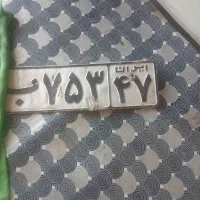 پلاک ماشین پیاده شده