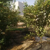 فروش زمین باغشهری مسکونی دهقاعد|فروش زمین و ملک کلنگی|برازجان, |دیوار