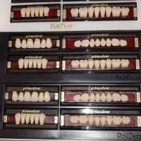 دست دندان پلی دنت اصلی اسلوونیا