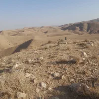 زمین-فروشی-تینوج