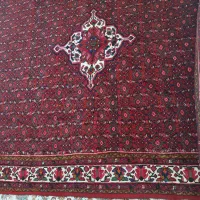 فرش ازندریان|فرش|همدان, |دیوار