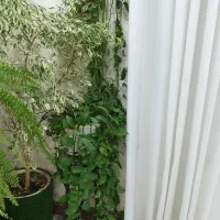 گل با پایه گلدان