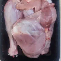 عرضه مستقیم گوشت بوقلمون|خوردنی و آشامیدنی|شاندیز, |دیوار
