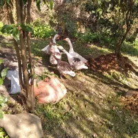 نداشتن موقعیت