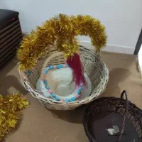 سبد حصیری|صنایع دستی و سایر لوازم تزئینی|کرج, ساماندهی|دیوار