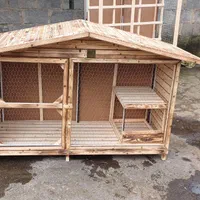 لانه جوجه مرغ|لوازم جانبی حیوانات|رشت, گلسار|دیوار