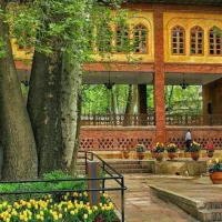 نیرو خدماتی خانوم