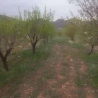 باغ ۲۰۰۰متری