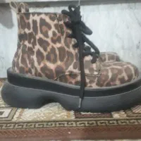 تعدادی دمپایی|کیف، کفش، کمربند|زنجان, |دیوار