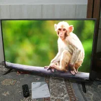 تلوزیون الیدی ۴۳ الجی اصل کره در حد نو|تلویزیون و پروژکتور|مشهد, شهید معقول|دیوار