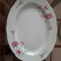 ظروف چینی