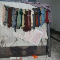 فرش|فرش|اردبیل, |دیوار