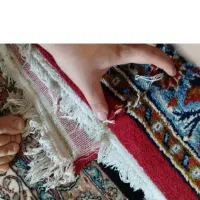 فرش ماشینی ۱۲متری|فرش|دزفول, |دیوار